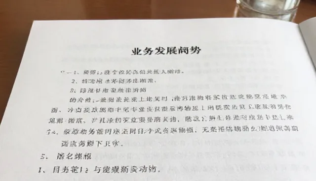 内容创作中定制化方案的性能与适用条件比较
